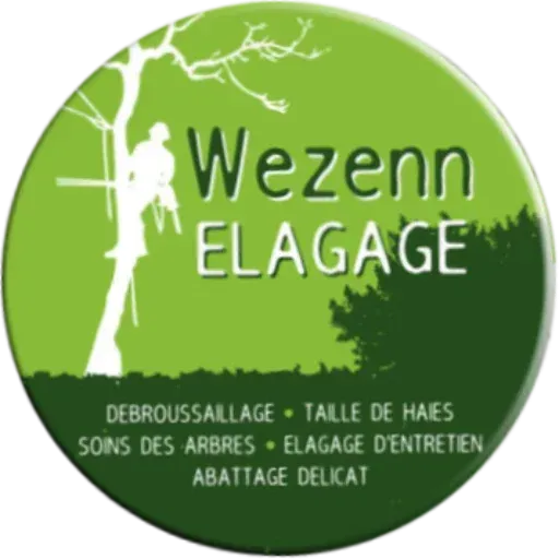 logo-wezenn-elagage