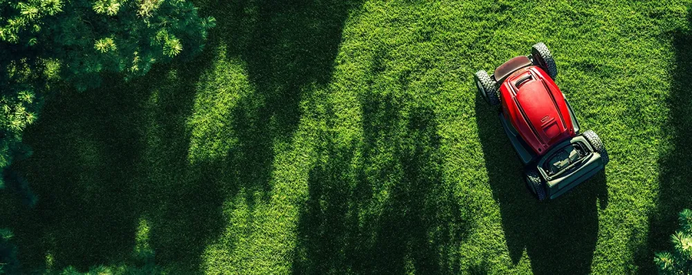 Intervention urgence à Plougastel-Daoulas