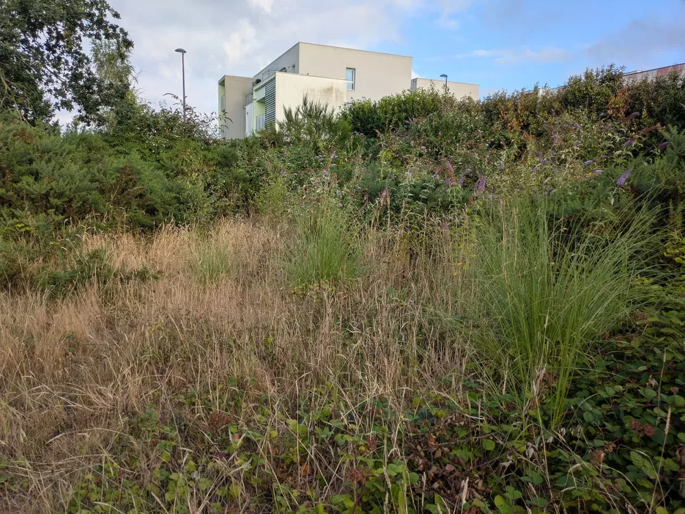 avant-débroussaillagewebp