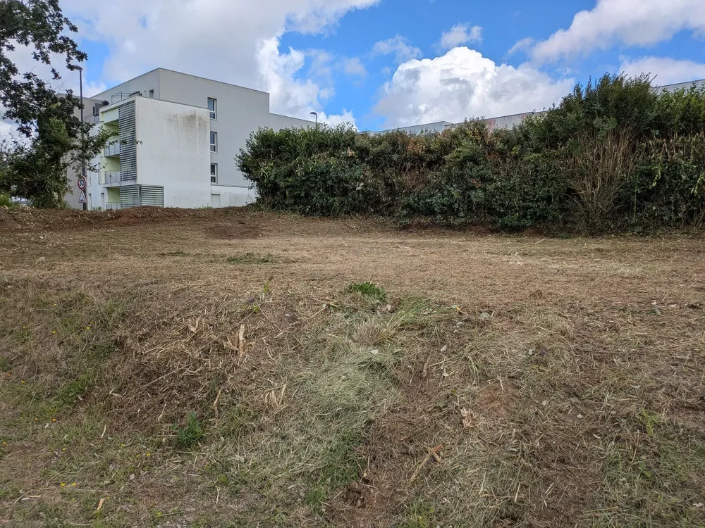 après-debroussaillagewebp