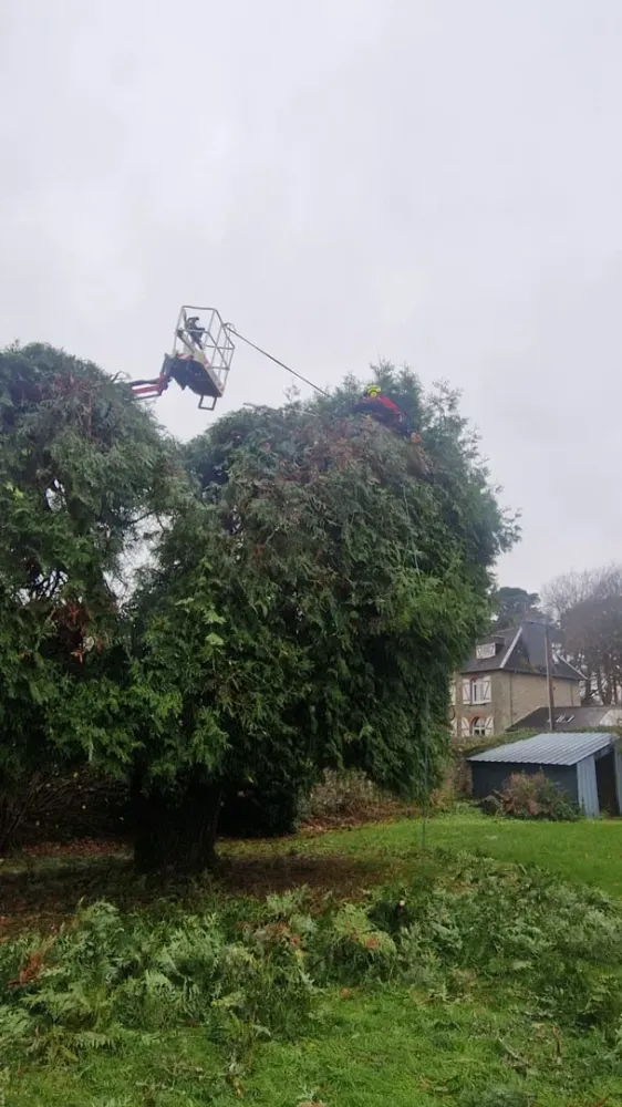 photo wezenn elagage (3)