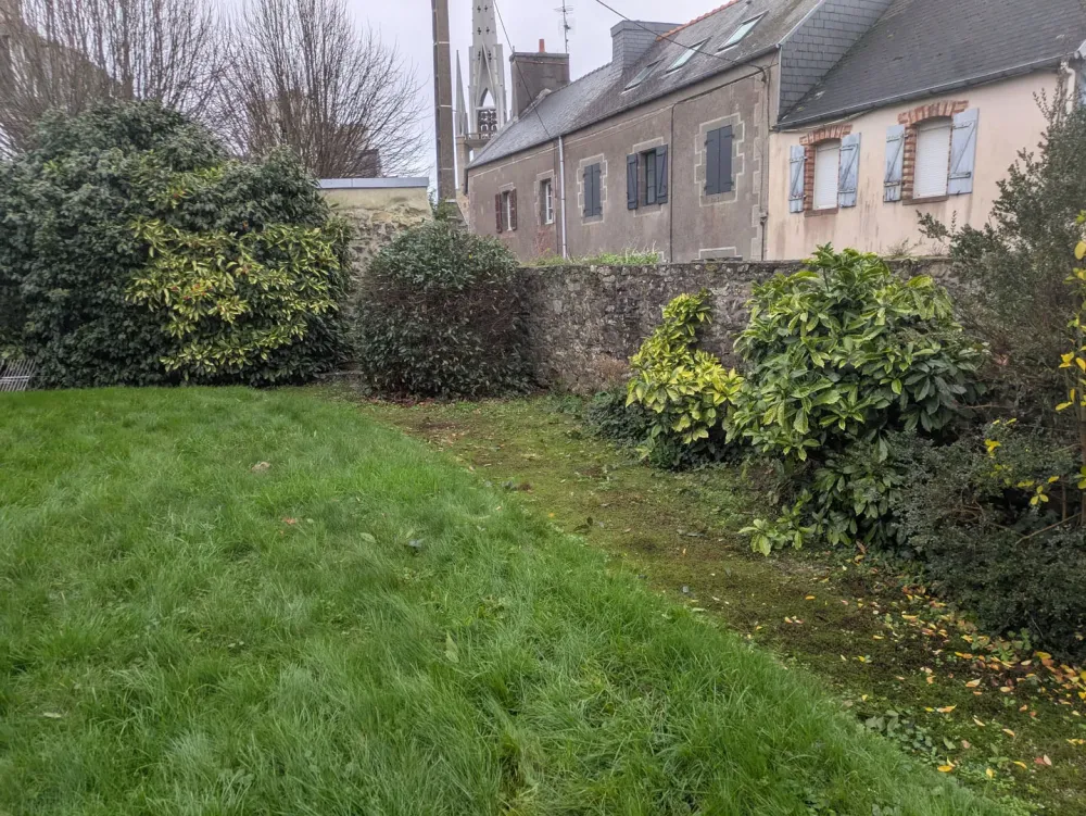 photo wezenn elagage (5)