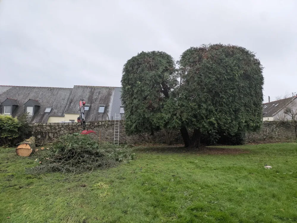 photo wezenn elagage (6)