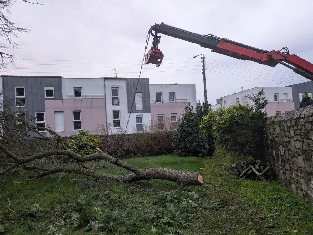 photo wezenn elagage (7)