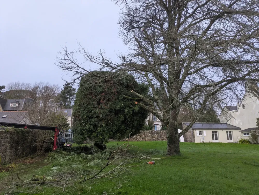 photo wezenn elagage (8)