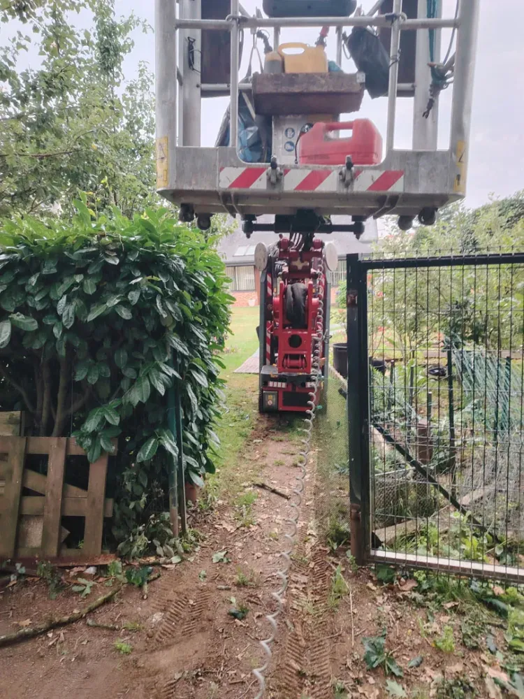 photo wezenn elagage (10)