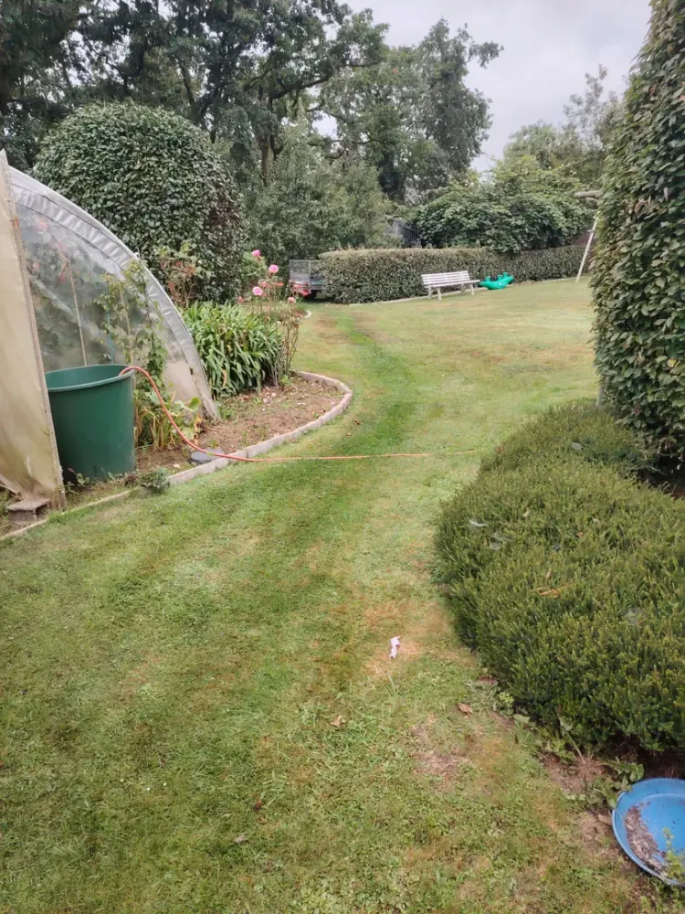 photo wezenn elagage (11)