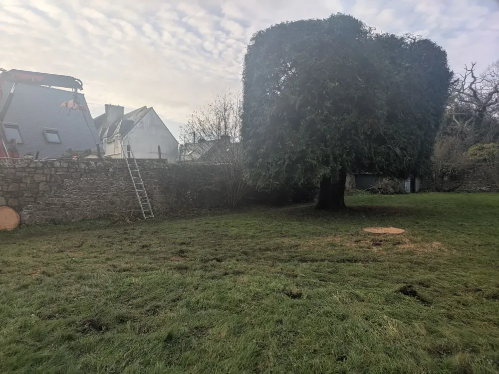 photo wezenn elagage (18)