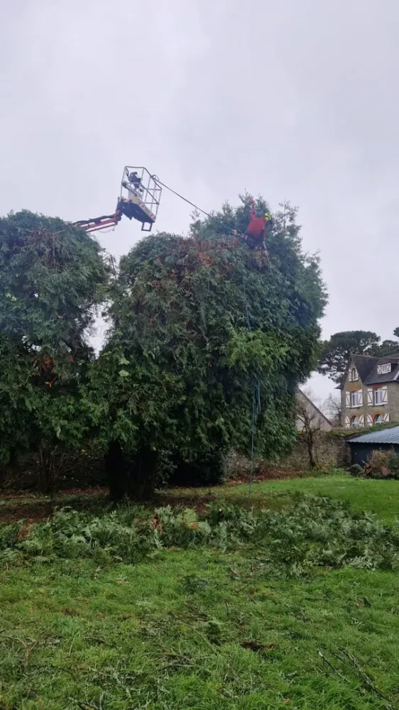 photo wezenn elagage (19)