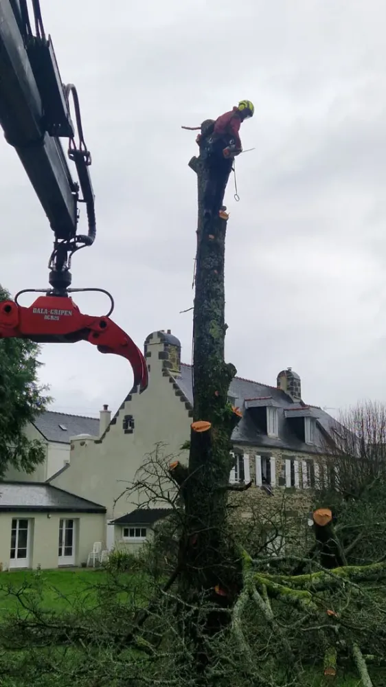 photo wezenn elagage (21)